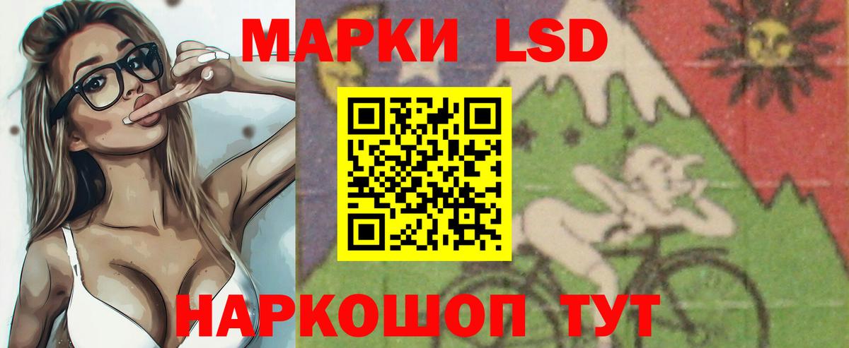 ЛСД экстази кислота  ЛСД экстази кислота  Бердск  Вход с VPN 