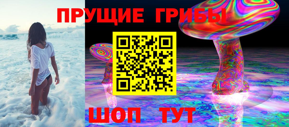 Галлюциногенные грибы GOLDEN TEACHER  Вход с VPN  Псилоцибиновые грибы прущие грибы  Бердск 